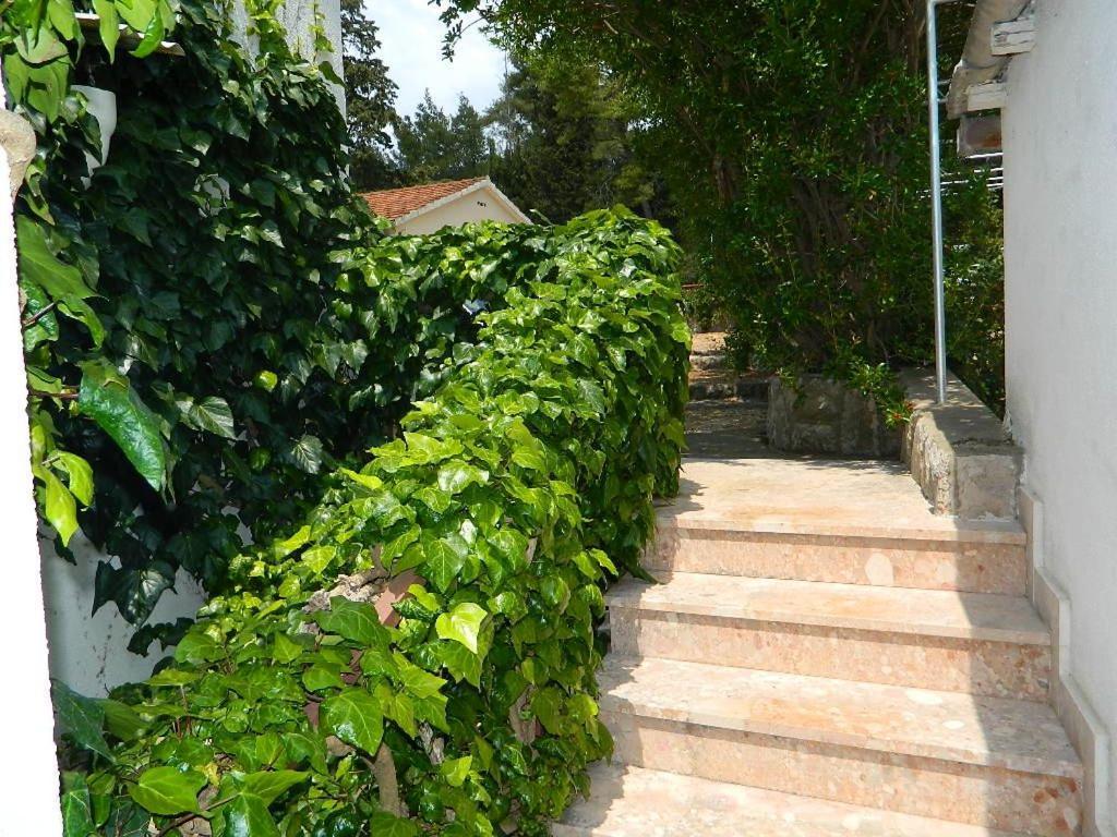 Apartments And Rooms Darinka Vrboska Zewnętrze zdjęcie
